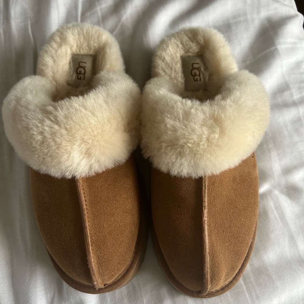 UGG disquette slipper Chestnut